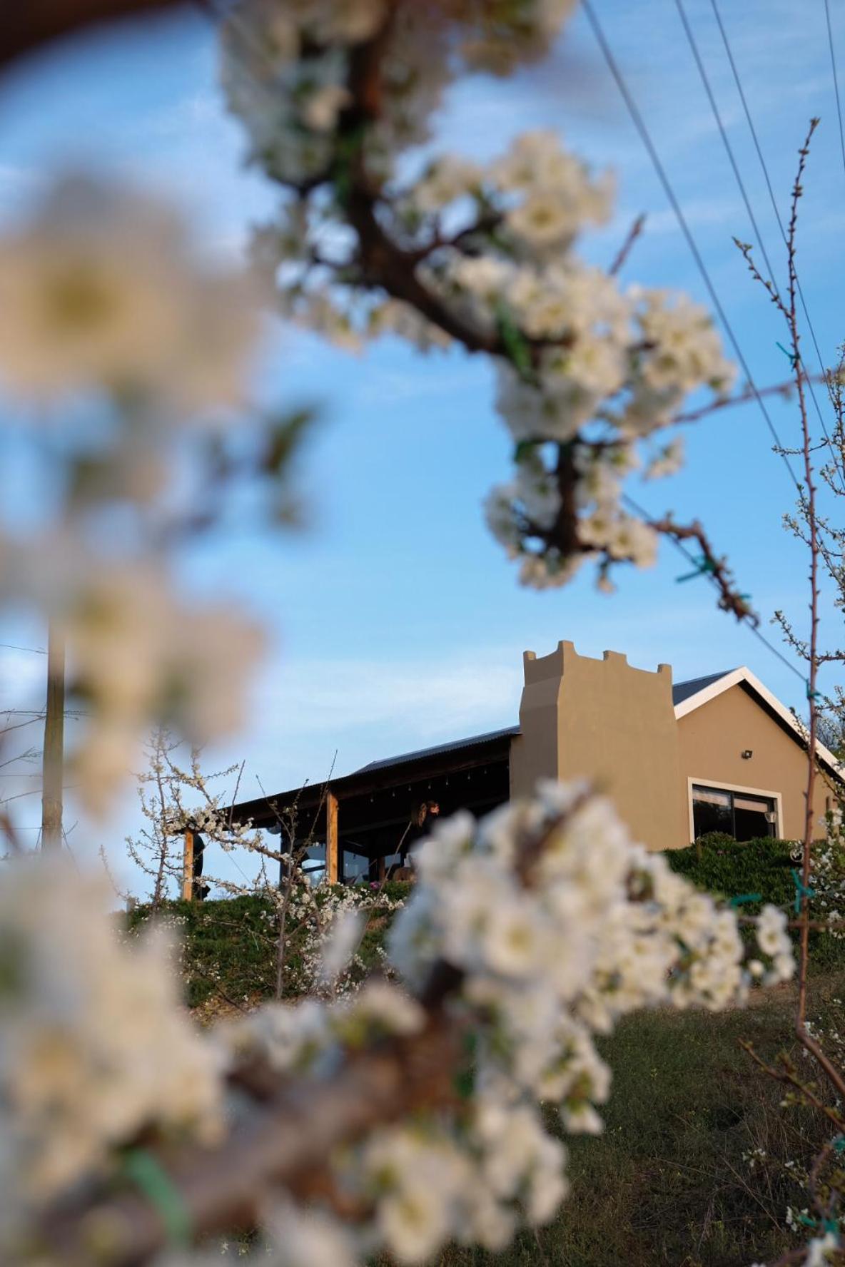 Apartment Nicara Luxury Ecocabin